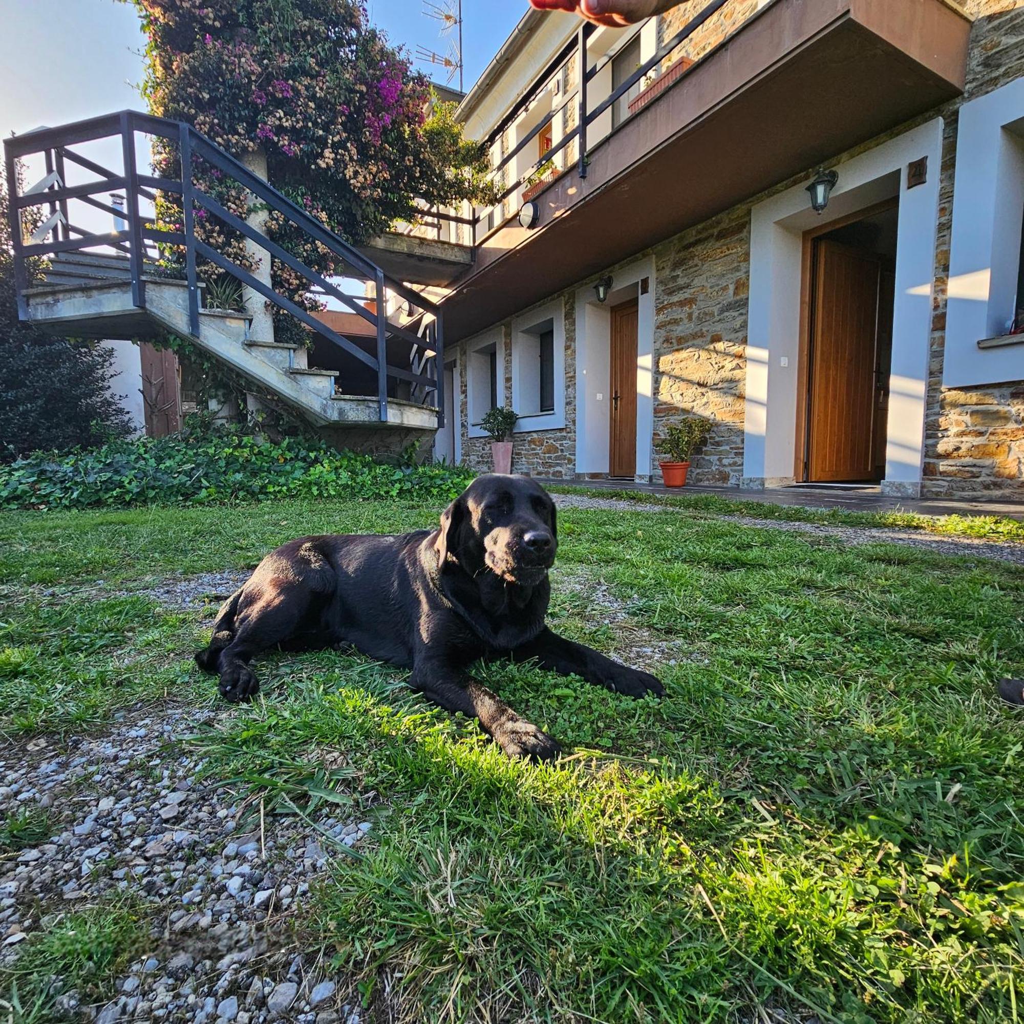 Apartamentos Castello Cartavio Luaran gambar